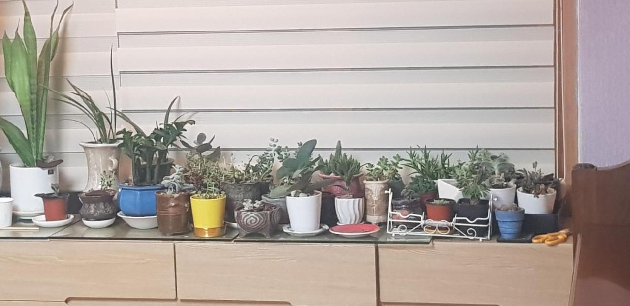 Yire House 홈스테이 서울특별시