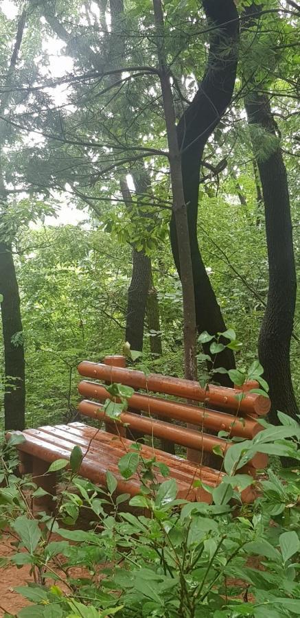 홈스테이 Yire House 서울특별시